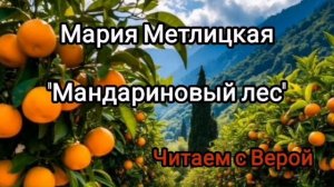 Аудиокнига Мария Метлицкая «Мандариновый лес». Читаем вместе с Верой.
