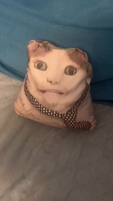 Бу испугался
