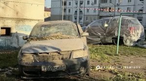 Новости Старого Оскола от 10 августа