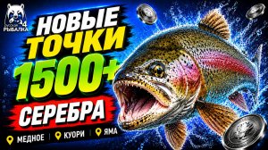 🤑 ТОП-3 ТОЧКИ ФАРМА и РАЗДАЧИ ТРОФОВ РР4 (10.08)! СВОДКА по ВОДОЕМАМ! МЕДНОЕ • ЯМА • КУОРИ • ВОЛХОВ