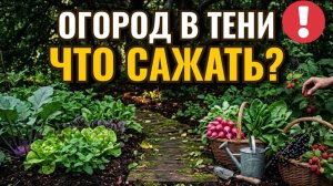 Что посадить в тени? 10 культур, которые дадут урожай без солнца!