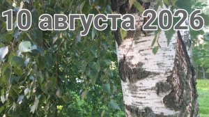10 августа 2026. Августовские Незамысловатости...