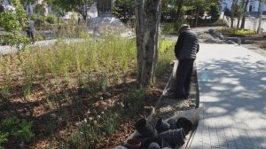 СВОБОДА В НОВОМ ВИДЕ