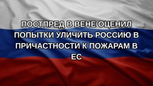 Постпред в Вене оценил попытки уличить Россию в причастности к пожарам в ЕС