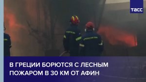В Греции борются с лесным пожаром в 30 км от Афин