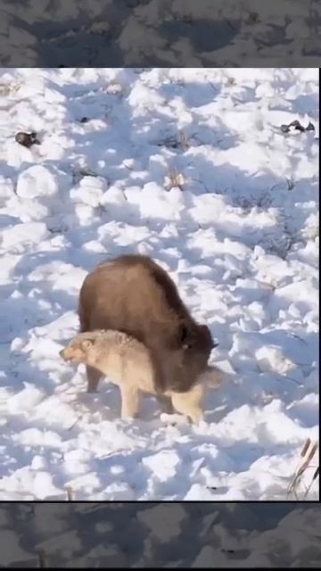 БЫВАЕТ