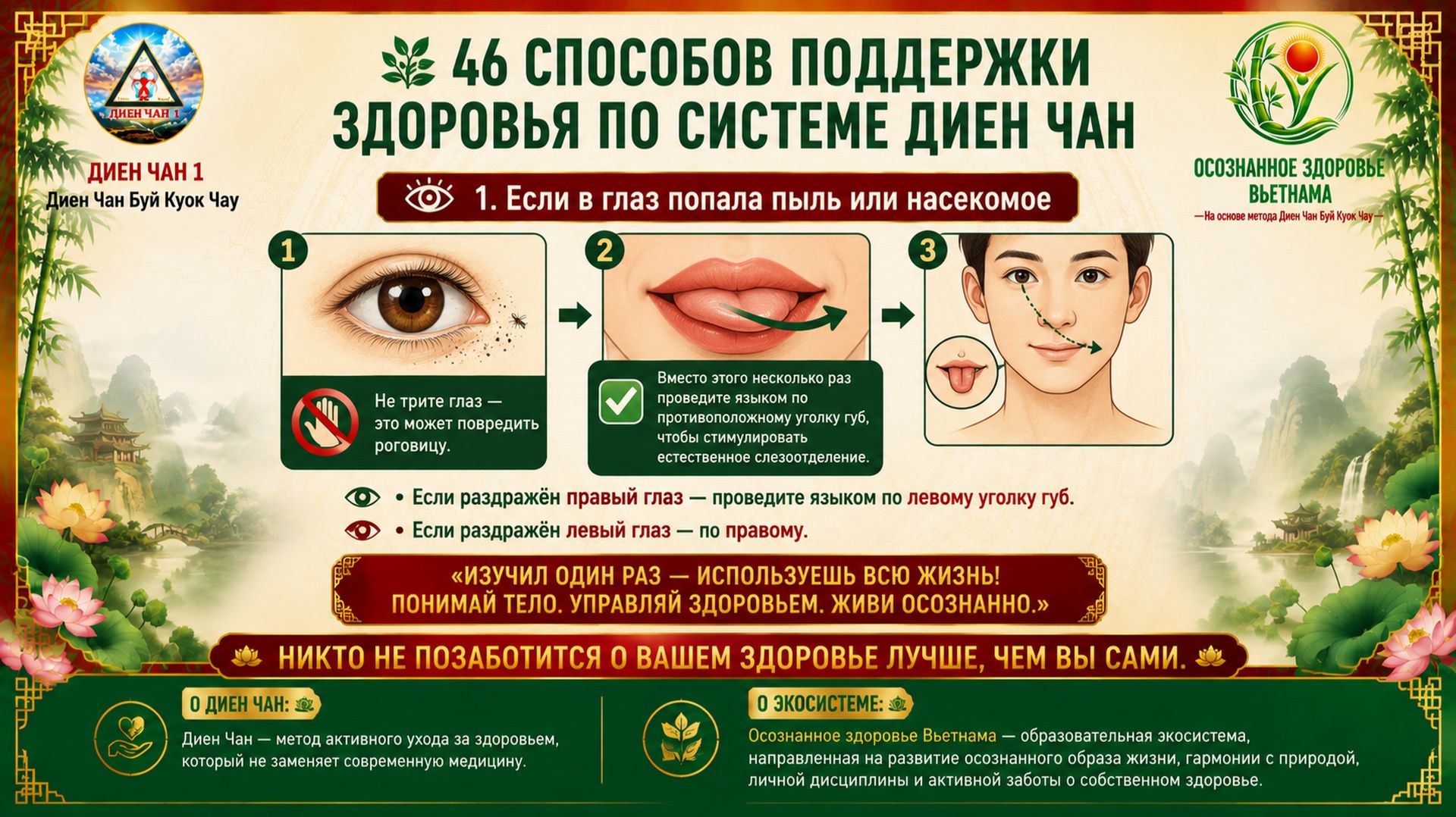 🌿 1001 СОВЕТ ПО ДИЕН ЧАН — САМОПОМОЩЬ И ОСОЗНАННОЕ ЗДОРОВЬЕ