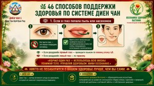🌿 1001 СОВЕТ ПО ДИЕН ЧАН — САМОПОМОЩЬ И ОСОЗНАННОЕ ЗДОРОВЬЕ