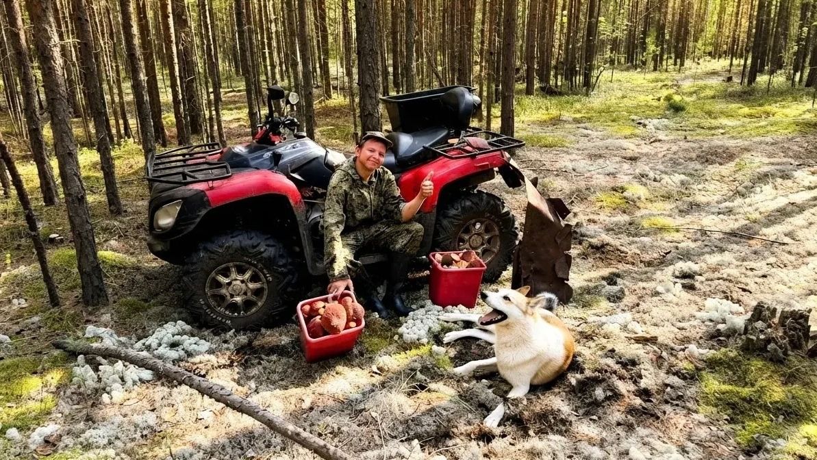 СБОР ЧЕРНИКИ И БОРОВИКОВ В ТАЙГЕ. МОДЕРНИЗАЦИЯ КАРАКАТА.