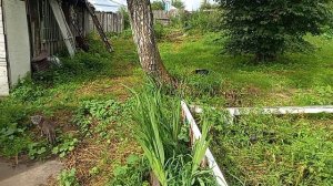 День в делах.