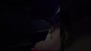 MOV_20260810_201636_544