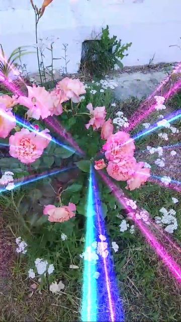 природа