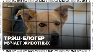МВД начало проверку трэш-блогера Баласяна из-за жестокого обращения с животными - Москва 24