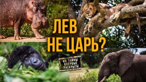 УДИВИТЕЛЬНЫЕ ФАКТЫ дикой Африки! 🦁