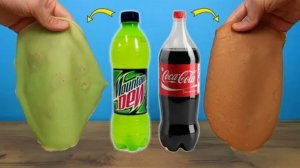 Что если приготовить Блины на Кока-Коле и Mountain Dew !