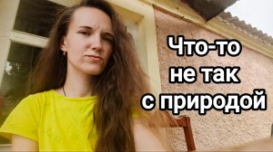Поговорим о природе