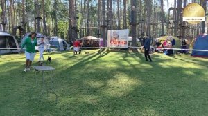 Ринг левреток. Рейтинговая выставка с ОС «Довмонтов град» г. Псков, 09.08.2026 г.
