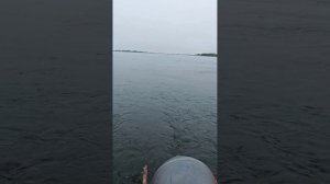 Улов