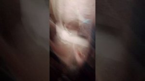 Моя идеальная жизнь 1 серия 1 сезон