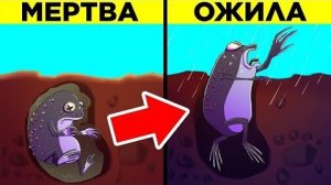 [WTFакт] - Самые Поразительные Животные В Мире