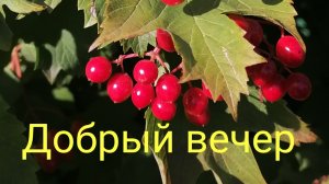 Дверь в тишину.