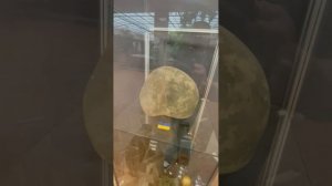 10-08-2026. Музей СВО в ДК Капотня. Приходите🙏