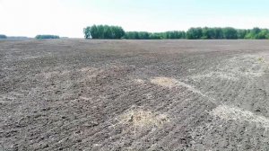 Позднее открытие сезона 2022 / поиск монет с металлоискателем