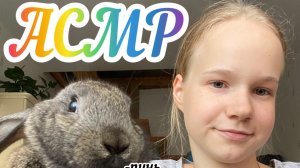 АСМР с кроликом - мукбанг, скретчинг, трейсинг, шуршащие звуки