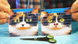 КАК ИЗ ОДНОЙ ФОТОГРАФИИ СДЕЛАТЬ ДВЕ?