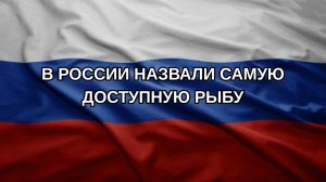 В России назвали самую доступную рыбу