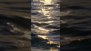 ТЕПЛО ГОА транс-медитация