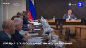 Порядка 15 га леса охватил пожар у пляжа Инжир
