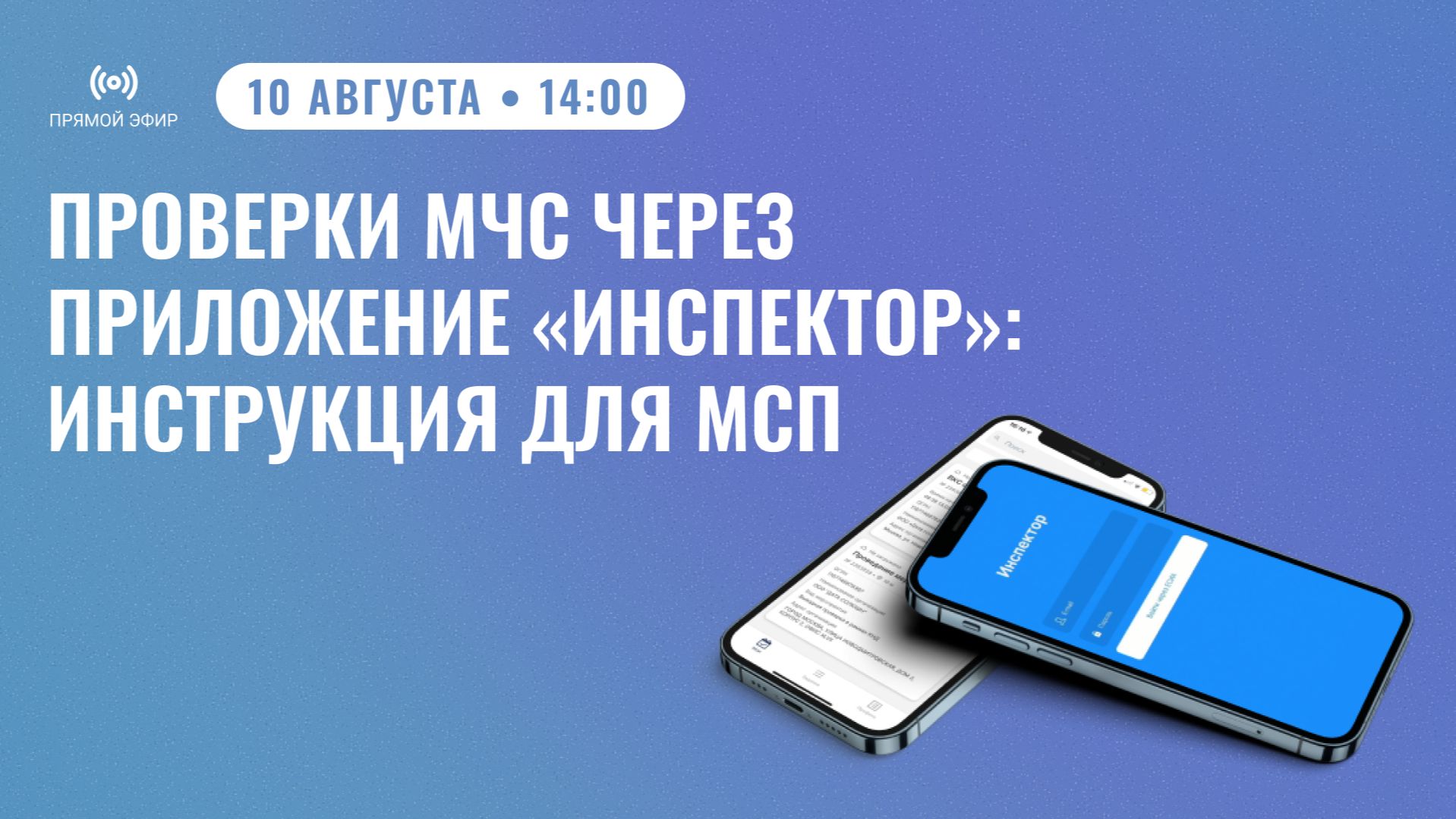 Проверки МЧС через приложение «Инспектор»: инструкция для МСП Прямой эфир