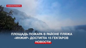 Площадь пожара в районе пляжа «Инжир» достигла 15 гектаров