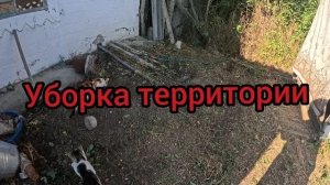 Наталья Губарева. УБОРКА ТЕРРИТОРИИ ⧸ ПРИВОЖУ В ПОРЯДОК САД ⧸ ЖИЗНЬ В СЕЛЕ