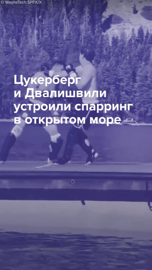 Цукерберг и Двалишвили устроили спарринг в открытом море