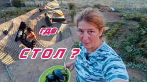 Про обновки, стол и ремонт москитных сеток.