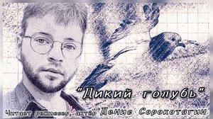 Валентин Берестов «ДИКИЙ ГОЛУБЬ». Читает режиссёр, актёр Театра Камбуровой Денис Сорокотягин