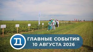 10.08.2026 Домодедово. Главные события.