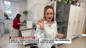 Более 500 тысяч тонн крымской пшеницы прошли государственный мониторинг