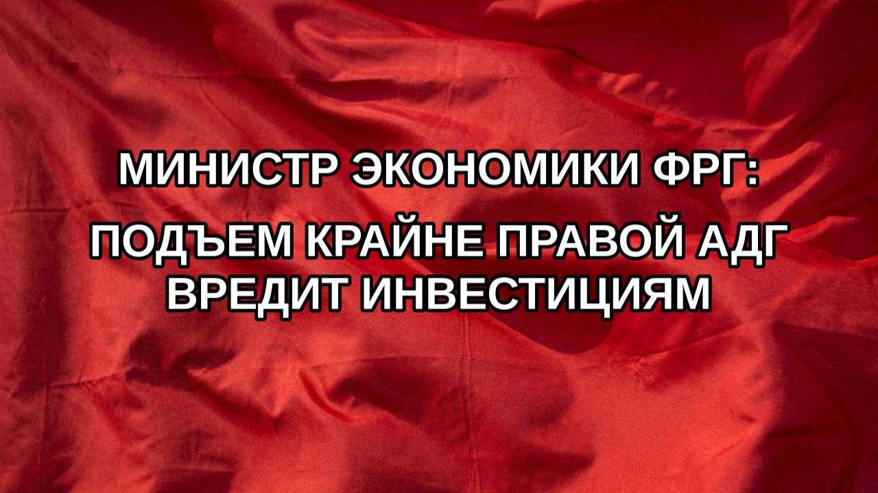 Министр экономики ФРГ: подъем крайне правой АдГ вредит инвестициям