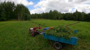 Скоро осень... Дела в коровнике, готовлюсь к финалу сенокоса и важные решения / Жизнь в деревне