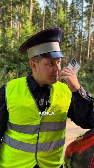 Можно ли возить биту в авто?