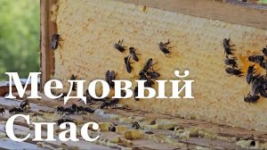 Пасечники Станично-Луганского района готовятся к Медовому Спасу