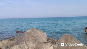1000190274.mp4 Мы приехали на море! Очень здорово,но в конце полная ж...😂😂