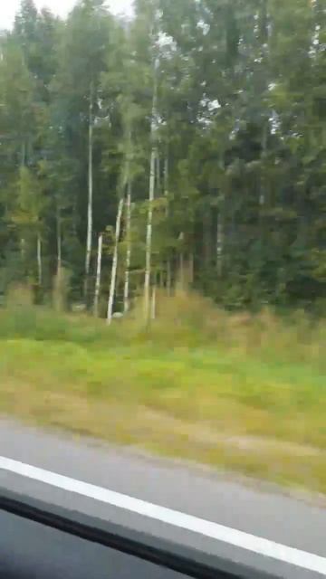 MOV_20260810_222935_654.mp4