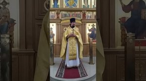 Исцеление бесноватого отрока. О вере и верности Богу. Проповедь о. Вячеслава. 9.8.26