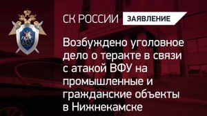 Возбуждено уголовное дело о теракте в связи с атакой ВФУ в Нижнекамске
