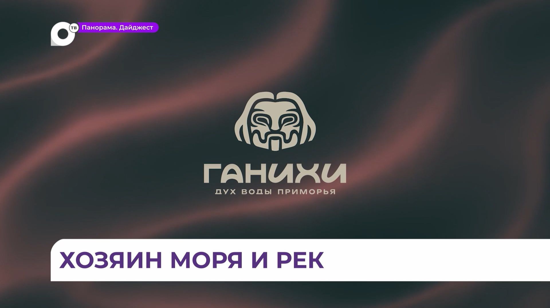 Во Владивостоке представили новый культурно-просветительский проект «Ганихи»