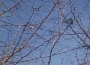 Треугольный Объект в Йоркшире